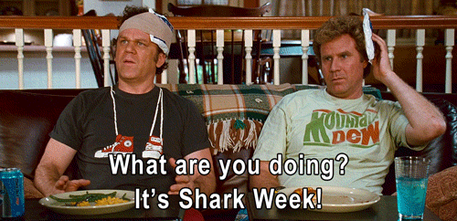 its shark week cancel cable