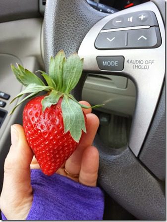 strawberry snack (376x502)