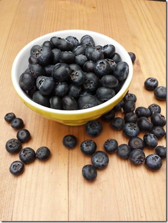 blueberries (600x800) (2)