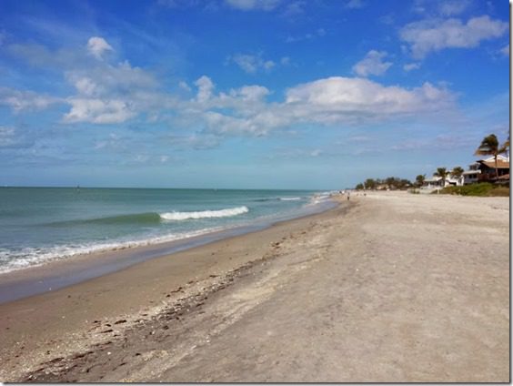 beach in florida (668x501)