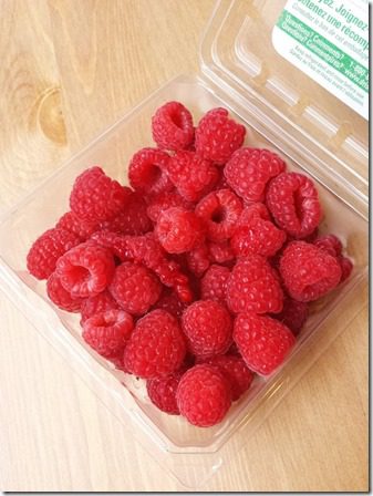 eating all the raspberries (800x600)