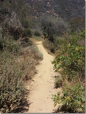 hike in la 2 (600x800)