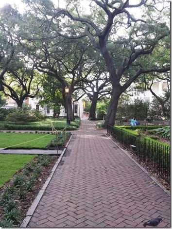 running through savannah (600x800)