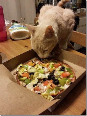 step away from the pizza cat (600x800)