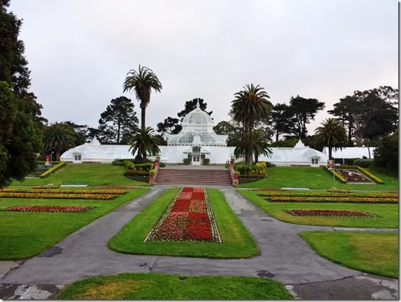 walk in golden gate park 2 (800x600)