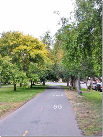 walk in golden gate park (600x800)