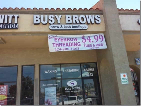busy brows (800x600)