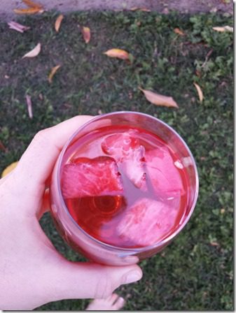 drink watermelon sangria (600x800)