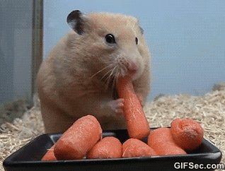 me eating carrots