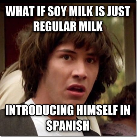 soy milk is spanish