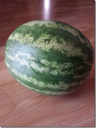 watermelon 5 times a day (600x800)