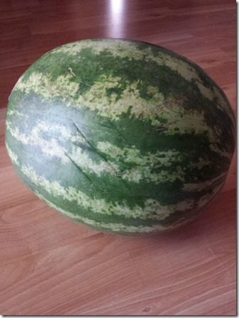 watermelon for life (600x800)