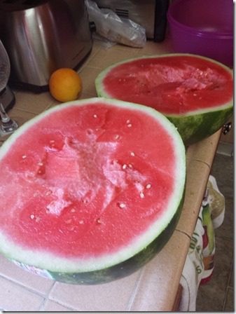 all the watermelon for me (600x800)