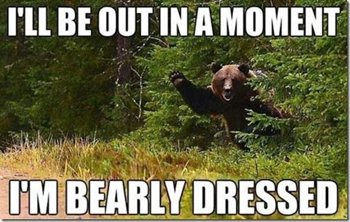 bear meme