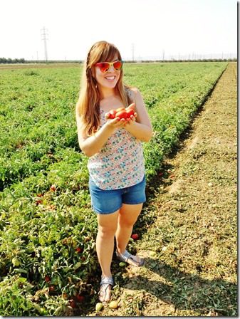 fun on the tomato farm (600x800)