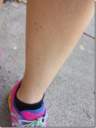 gross bugs and sweat during long run (600x800)