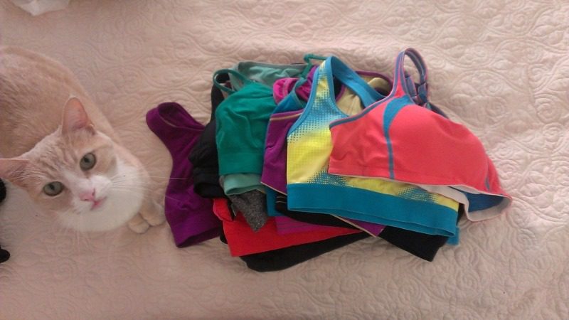 What kind of bras have the most support and super comfortable but isn't a  sports bra? - Quora