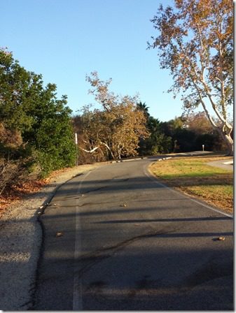 fall running (600x800)