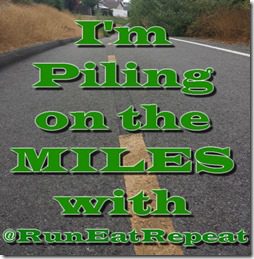 im piling on the miles  (600x800)