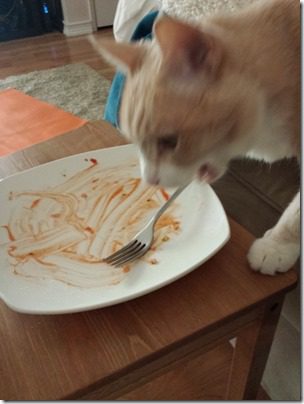 confession running blog can cats eat sriracha (600x800)