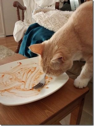 confession running blog cats eat sriracha (600x800)