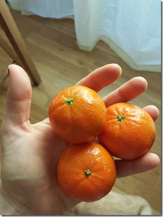 20 clementines (600x800)