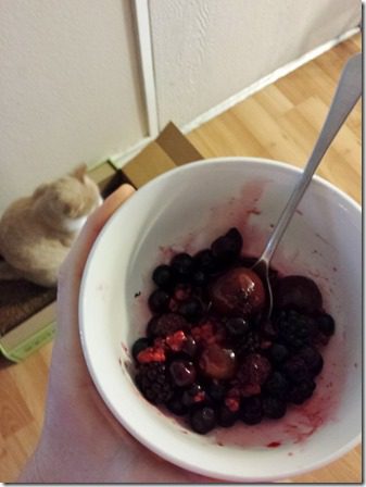 cat and berries (600x800)