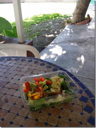lunch outside (600x800)