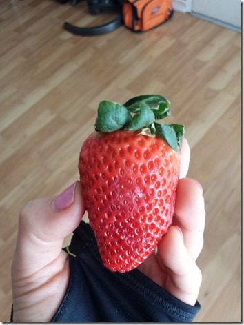 strawberries and running (600x800)