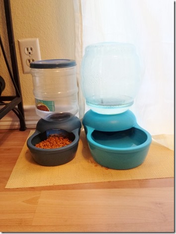 cat feeder and water (600x800)