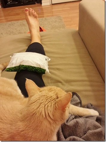 ice my knee with cat (600x800)