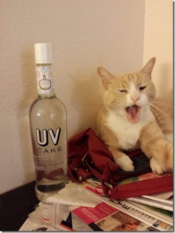 my cat yelling at me to stop drinking (600x800)