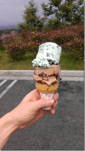 national ice cream day at rite ade (450x800)