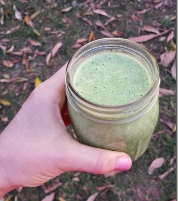 Quest Bar Pop Tart and Green Smoothie Recipe