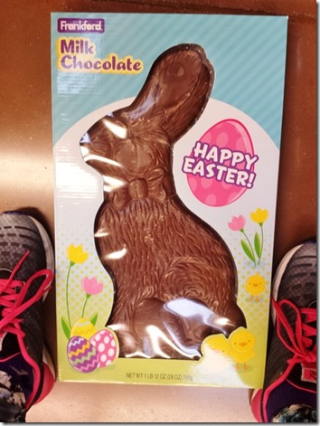 huge chocolate bunny (600x800)