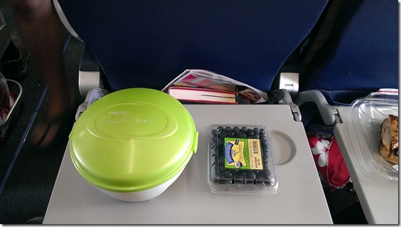 lunch on a plane