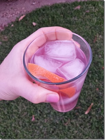 skinny cocktail recipe at home (600x800)