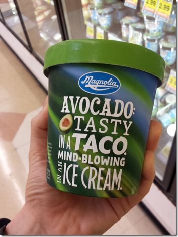 avocado ice cream yes or  no (600x800)