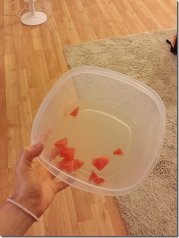 eating a whole watermelon in one day (600x800)