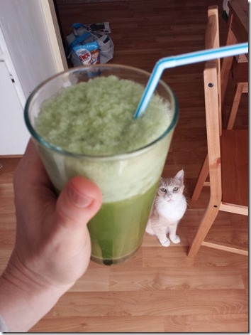 how to do a juice cleanse blog fail 7 (600x800)