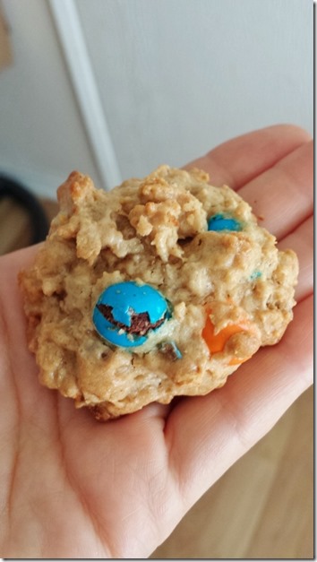 cookies for breakfast (450x800)