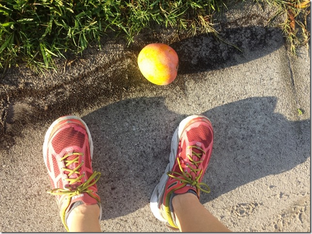 found a mango on my run (800x600)