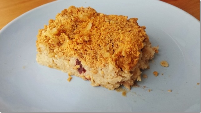 oatmeal bar vegetarian meal delivery (800x450)