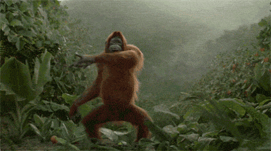 gorilla dancing