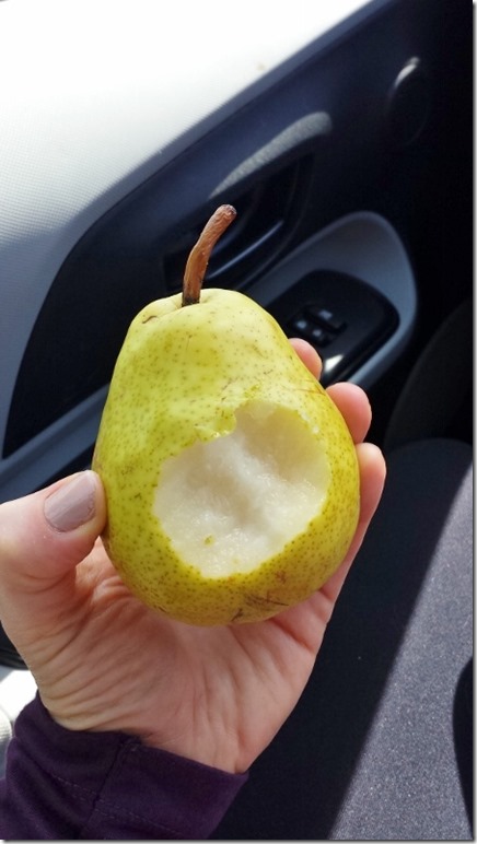 pear snack (450x800)