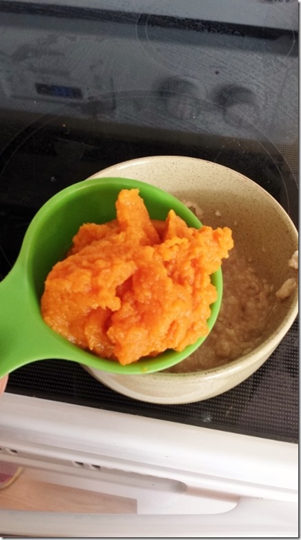 pumpkin pie oatmeal recipe blog 2 (450x800)