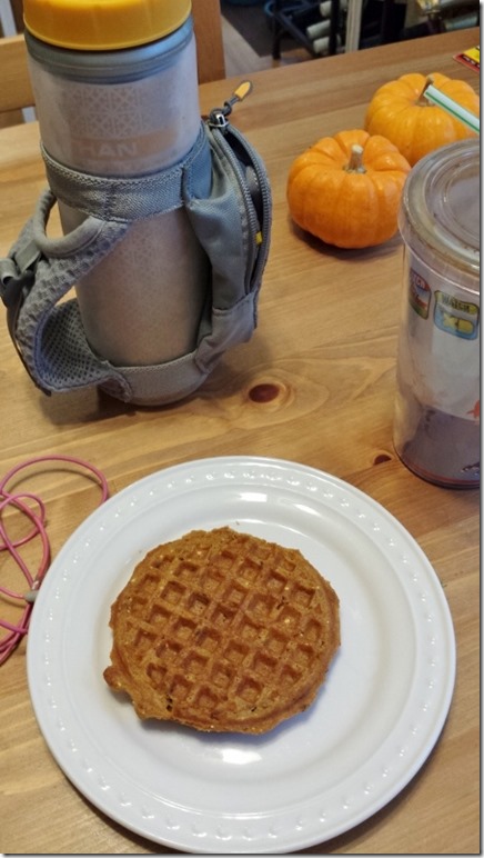 pumpkin spice waffles before run (450x800)