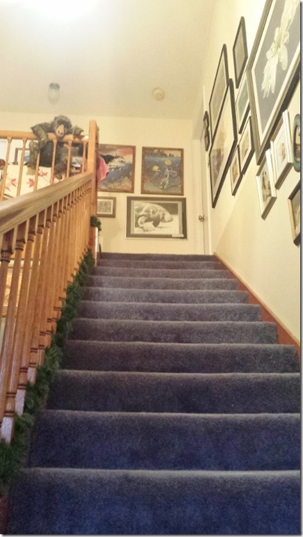 stairs for exercise (450x800)
