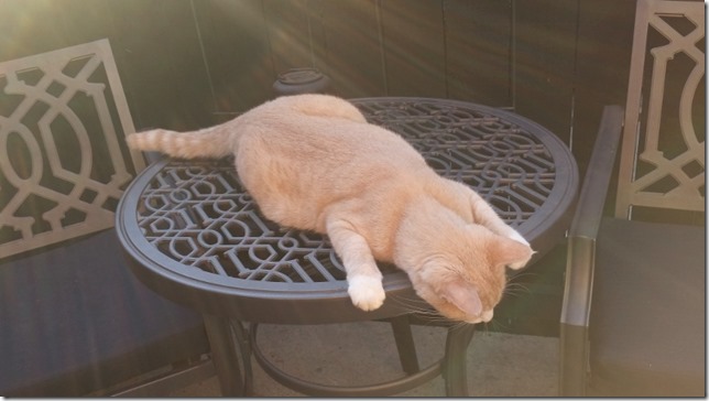 staring at the floor (800x450)