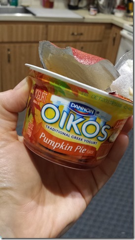 the best pumpkin pie yogurt